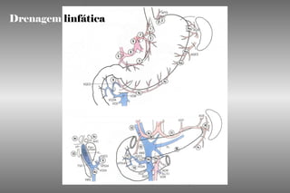 Drenagem linfática
 