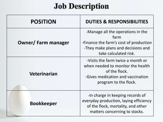 POSITION DUTIES & RESPONSIBILITIES
Owner/ Farm manager
-Manage all the operations in the
farm
-Finance the farm’s cost of production
-They make plans and decisions and
take calculated risk.
Veterinarian
-Visits the farm twice a month or
when needed to monitor the health
of the flock.
-Gives medication and vaccination
program to the flock.
Bookkeeper
-In charge in keeping records of
everyday production, laying efficiency
of the flock, mortality, and other
matters concerning to stocks.
 