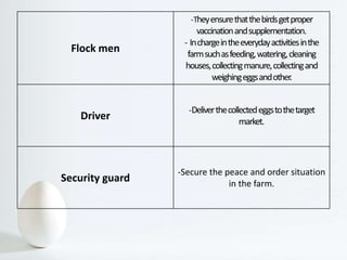 Flock men
-Theyensurethatthebirdsgetproper
vaccinationandsupplementation.
- Inchargeintheeverydayactivitiesinthe
farmsuchasfeeding,watering,cleaning
houses,collectingmanure,collectingand
weighingeggsandother.
Driver
-Deliverthecollectedeggstothetarget
market.
Security guard
-Secure the peace and order situation
in the farm.
 