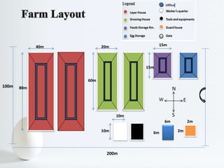 200m
100m 80m
40m 20m
60m
15m
15m
10m
10m
2m
2m
N
W E
S
6m
6m
 