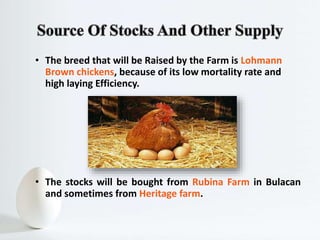 • The breed that will be Raised by the Farm is Lohmann
Brown chickens, because of its low mortality rate and
high laying Efficiency.
• The stocks will be bought from Rubina Farm in Bulacan
and sometimes from Heritage farm.
 
