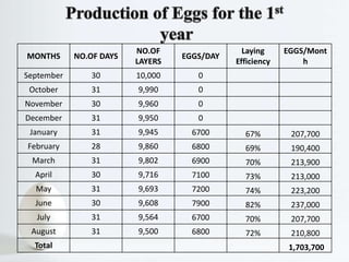 MONTHS NO.OF DAYS
NO.OF
LAYERS
EGGS/DAY
Laying
Efficiency
EGGS/Mont
h
September 30 10,000 0
October 31 9,990 0
November 30 9,960 0
December 31 9,950 0
January 31 9,945 6700 67% 207,700
February 28 9,860 6800 69% 190,400
March 31 9,802 6900 70% 213,900
April 30 9,716 7100 73% 213,000
May 31 9,693 7200 74% 223,200
June 30 9,608 7900 82% 237,000
July 31 9,564 6700 70% 207,700
August 31 9,500 6800 72% 210,800
Total 1,703,700
 