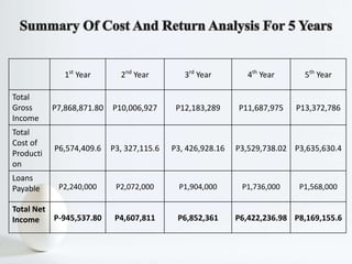 1st
Year 2nd
Year 3rd
Year 4th
Year 5th
Year
Total
Gross
Income
P7,868,871.80 P10,006,927 P12,183,289 P11,687,975 P13,372,786
Total
Cost of
Producti
on
P6,574,409.6 P3, 327,115.6 P3, 426,928.16 P3,529,738.02 P3,635,630.4
Loans
Payable P2,240,000 P2,072,000 P1,904,000 P1,736,000 P1,568,000
Total Net
Income P-945,537.80 P4,607,811 P6,852,361 P6,422,236.98 P8,169,155.6
 