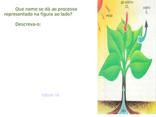 Que nome se dá ao processo representado na figura ao lado? Descreva-o: #Slide 16 