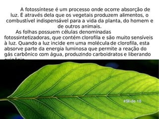 A fotossíntese é um processo onde ocorre absorção de luz. É através dela que os vegetais produzem alimentos, o combustível indispensável para a vida da planta, do homem e de outros animais. As folhas possuem células denominadas fotossintetizadoras, que contém clorofila e são muito sensíveis à luz. Quando a luz incide em uma molécula de clorofila, esta absorve parte da energia luminosa que permite a reação do gás carbônico com água, produzindo carboidratos e liberando oxigênio. #Slide 18 