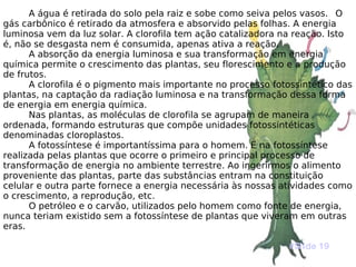 A água é retirada do solo pela raiz e sobe como seiva pelos vasos.  O gás carbônico é retirado da atmosfera e absorvido pelas folhas. A energia luminosa vem da luz solar. A clorofila tem ação catalizadora na reação. Isto é, não se desgasta nem é consumida, apenas ativa a reação. A absorção da energia luminosa e sua transformação em energia química permite o crescimento das plantas, seu florescimento e a produção de frutos. A clorofila é o pigmento mais importante no processo fotossintético das plantas, na captação da radiação luminosa e na transformação dessa forma de energia em energia química. Nas plantas, as moléculas de clorofila se agrupam de maneira ordenada, formando estruturas que compõe unidades fotossintéticas denominadas cloroplastos. A fotossíntese é importantíssima para o homem. É na fotossíntese realizada pelas plantas que ocorre o primeiro e principal processo de transformação de energia no ambiente terrestre. Ao ingerirmos o alimento proveniente das plantas, parte das substâncias entram na constituição celular e outra parte fornece a energia necessária às nossas atividades como o crescimento, a reprodução, etc. O petróleo e o carvão, utilizados pelo homem como fonte de energia, nunca teriam existido sem a fotossíntese de plantas que viveram em outras eras. #Slide 19 