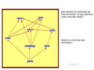 Aqui temos um exemplo de teia alimentar. O que significa cada uma das setas? Onde é o inicio da teia alimentar? #Slide 21 
