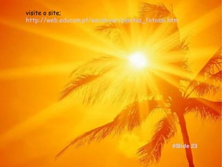 visite o site;  http://web.educom.pt/escolovar/plantas_fotossi.htm #Slide 23 
