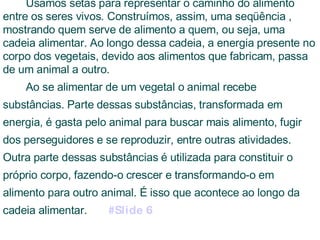 Usamos setas para representar o caminho do alimento  entre os seres vivos. Construímos, assim, uma seqüência , mostrando quem serve de alimento a quem, ou seja, uma cadeia alimentar. Ao longo dessa cadeia, a energia presente no corpo dos vegetais, devido aos alimentos que fabricam, passa de um animal a outro. Ao se alimentar de um vegetal o animal recebe substâncias. Parte dessas substâncias, transformada em energia, é gasta pelo animal para buscar mais alimento, fugir dos perseguidores e se reproduzir, entre outras atividades. Outra parte dessas substâncias é utilizada para constituir o próprio corpo, fazendo-o crescer e transformando-o em alimento para outro animal. É isso que acontece ao longo da cadeia alimentar.  #Slide 6 