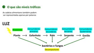 O que são níveis tróficos
As cadeias alimentares também podem
ser representadas apenas por palavras
Planta
bactérias e fungos
LUZ
Gafanhoto Rato Serpente
Produtores Consumidores
primários
Consumidores
secundários
Consumidores
terciários
Decompositores
Gavião
Consumidores
Quaternários
 