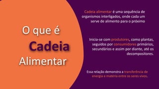 O que é
Cadeia alimentar é uma sequência de
organismos interligados, onde cada um
serve de alimento para o próximo
Inicia-se com produtores, como plantas,
seguidos por consumidores primários,
secundários e assim por diante, até os
decompositores.
Cadeia
Alimentar
Essa relação demonstra a transferência de
energia e matéria entre os seres vivos.
 
