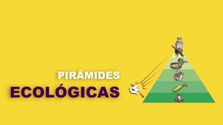 ECOLÓGICAS
PIRÂMIDES
 