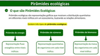 O que são Pirâmides Ecológicas
Existem três tipos de pirâmides ecológicas
Pirâmide de energia
Representação fluxo
energético entre níveis
tróficos.
Pirâmides de números
Representação quantitativa
de organismos em cada nível
trófico.
Pirâmides ecológicas
Pirâmides de biomassa
Representação da massa
dos organismos em cada
nível trófico.
Pirâmides ecológicas são representações gráficas que mostram a distribuição quantitativa
em diferentes níveis tróficos em um ecossistema, ilustrando as relações alimentares.
 