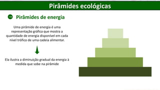 Pirâmides de energia
Pirâmides ecológicas
Uma pirâmide de energia é uma
representação gráfica que mostra a
quantidade de energia disponível em cada
nível trófico de uma cadeia alimentar.
Ela ilustra a diminuição gradual da energia à
medida que sobe na pirâmide
 