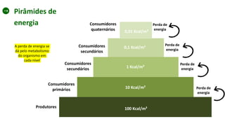 Pirâmides de
energia
Produtores
Consumidores
primários
Consumidores
secundários
Consumidores
secundários
Consumidores
quaternários
100 Kcal/m²
10 Kcal/m²
1 Kcal/m²
0,1 Kcal/m²
0,01 Kcal/m²
A perda de energia se
dá pelo metabolismo
do organismo em
cada nível
Perda de
energia
Perda de
energia
Perda de
energia
Perda de
energia
 
