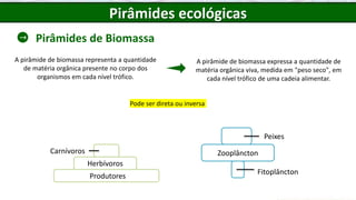 Pirâmides de Biomassa
Pirâmides ecológicas
A pirâmide de biomassa representa a quantidade
de matéria orgânica presente no corpo dos
organismos em cada nível trófico.
A pirâmide de biomassa expressa a quantidade de
matéria orgânica viva, medida em "peso seco", em
cada nível trófico de uma cadeia alimentar.
Pode ser direta ou inversa
Produtores
Herbívoros
Carnívoros
Fitoplâncton
Zooplâncton
Peixes
 