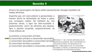 Questão 5
(Enem) Os personagens da figura estão representando situação hipotética de
cadeia alimentar.
Suponha que, em cena anterior à apresentada, o
homem tenha se alimentado de frutas e grãos
que conseguiu coletar. Na hipótese de, nas
próximas cenas, o tigre ser bem-sucedido e,
posteriormente, servir de alimento aos abutres,
tigre e abutres ocuparão, respectivamente, os
níveis tróficos de:
a) produtor e consumidor primário.
b) consumidor primário e consumidor secundário.
c) consumidor secundário e consumidor terciário.
d) consumidor terciário e produtor.
e) consumidor secundário e consumidor primário.
Alternativa “c”. Se o homem alimentou-se de
organismos produtores, ele é considerado um
consumidor primário. Ao alimentar-se do
homem, o tigre passa a ser um consumidor
secundário. O abutre, ao alimentar-se do tigre,
é considerado um consumidor terciário.
 