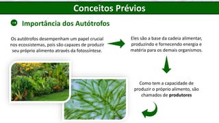 Conceitos Prévios
Os autótrofos desempenham um papel crucial
nos ecossistemas, pois são capazes de produzir
seu próprio alimento através da fotossíntese.
Importância dos Autótrofos
Eles são a base da cadeia alimentar,
produzindo e fornecendo energia e
matéria para os demais organismos.
Como tem a capacidade de
produzir o próprio alimento, são
chamados de produtores
 