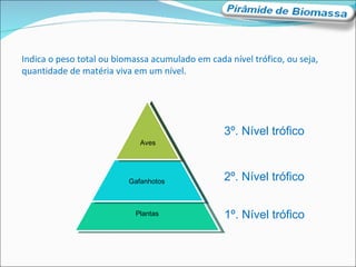 Indica o peso total ou biomassa acumulado em cada nível trófico, ou seja, quantidade de matéria viva em um nível. Plantas Gafanhotos Aves 1º. Nível trófico 2º. Nível trófico 3º. Nível trófico 