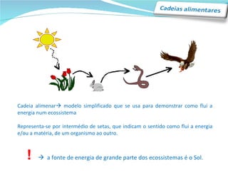 Cadeia alimenar   modelo simplificado que se usa para demonstrar como flui a energia num ecossistema Representa-se por intermédio de setas, que indicam o sentido como flui a energia e/ou a matéria, de um organismo ao outro. !      a fonte de energia de grande parte dos ecossistemas é o Sol. 