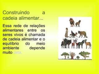 Construindo a cadeia alimentar.. . Essa rede de relações alimentares entre os seres vivos é chamada de cadeia alimentar e o equilíbrio do meio ambiente depende muito  dela. 