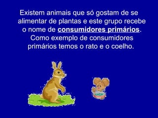 Existem animais que só gostam de se
alimentar de plantas e este grupo recebe
o nome de consumidores primários.
Como exemplo de consumidores
primários temos o rato e o coelho.
 