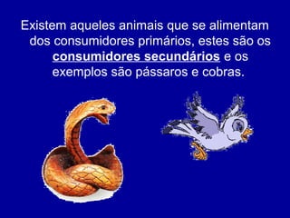 Existem aqueles animais que se alimentam
dos consumidores primários, estes são os
consumidores secundários e os
exemplos são pássaros e cobras.
 