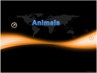 Animais
