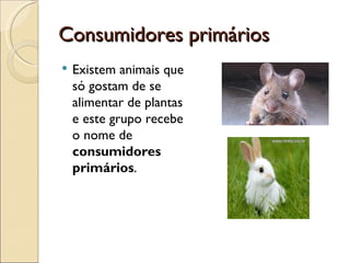 Consumidores primários
   Existem animais que
    só gostam de se
    alimentar de plantas
    e este grupo recebe
    o nome de
    consumidores
    primários.
 