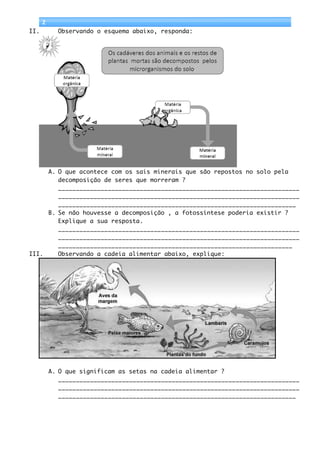           2	
  
       II.             Observando o esquema abaixo, responda:




            A. O que acontece com os sais minerais que são repostos no solo pela
               decomposição de seres que morreram ?
               ____________________________________________________________________
               ____________________________________________________________________
               ___________________________________________________________________
            B. Se não houvesse a decomposição , a fotossíntese poderia existir ?
               Explique a sua resposta.
               ____________________________________________________________________
               ____________________________________________________________________
               __________________________________________________________________
       III.    Observando a cadeia alimentar abaixo, explique:




                     A. O que significam as setas na cadeia alimentar ?
                        ____________________________________________________________________
                        ____________________________________________________________________
                        ___________________________________________________________________
 