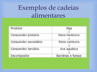 
Exemplos de cadeias
alimentares
 