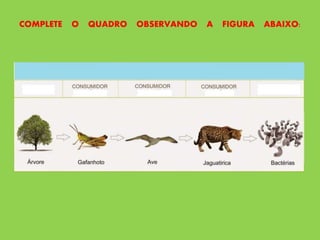 COMPLETE O QUADRO OBSERVANDO A FIGURA ABAIXO:
 