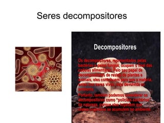 Seres decompositores
 