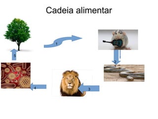 Cadeia alimentar
1
2
1
34
5
 