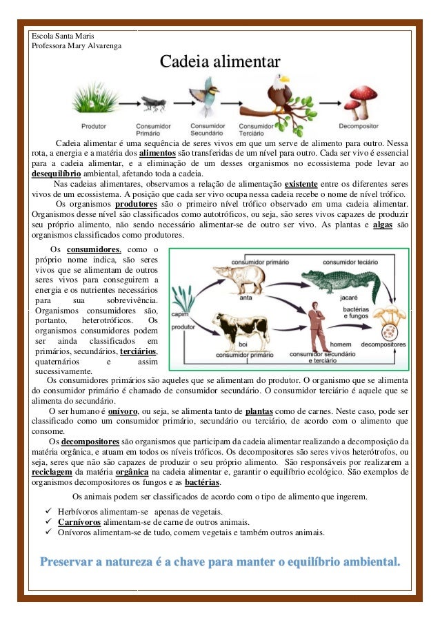 Cadeia alimentar - Atividade e texto