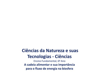 Ciências da Natureza e suas
Tecnologias - Ciências
Ensino Fundamental, 6º Ano
A cadeia alimentar e sua importância
para o fluxo de energia na biosfera
 