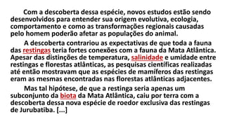 Com a descoberta dessa espécie, novos estudos estão sendo
desenvolvidos para entender sua origem evolutiva, ecologia,
comportamento e como as transformações regionais causadas
pelo homem poderão afetar as populações do animal.
A descoberta contrariou as expectativas de que toda a fauna
das restingas teria fortes conexões com a fauna da Mata Atlântica.
Apesar das distinções de temperatura, salinidade e umidade entre
restingas e florestas atlânticas, as pesquisas científicas realizadas
até então mostravam que as espécies de mamíferos das restingas
eram as mesmas encontradas nas florestas atlânticas adjacentes.
Mas tal hipótese, de que a restinga seria apenas um
subconjunto da biota da Mata Atlântica, caiu por terra com a
descoberta dessa nova espécie de roedor exclusiva das restingas
de Jurubatiba. [...]
 