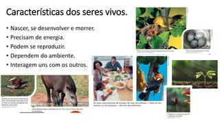 Características dos seres vivos.
• Nascer, se desenvolver e morrer.
• Precisam de energia.
• Podem se reproduzir.
• Dependem do ambiente.
• Interagem uns com os outros.
 