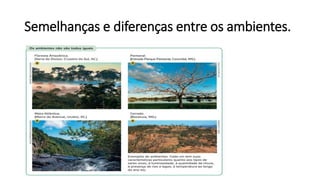 Semelhanças e diferenças entre os ambientes.
 