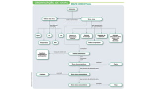 Cadeia alimentar - 6 ano.pptx