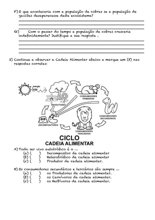 F) O que aconteceria com a população de cobras se a população de
     gaviões desaparecesse deste ecossistema?
     ___________________________________________________________
     ___________________________________________________________
     ___________________________________________________________
  G)      Com o passar do tempo a população de cobras cresceria
     indefinidamente? Justifique a sua resposta .
     ___________________________________________________________
     ___________________________________________________________
     ___________________________________________________________
     ___________________________________________________________

2) Continue a observar a Cadeia Alimentar abaixo e marque um (X) nas
   respostas corretas:




  A) Todo    ser vivo autotrófico é o …
       (a)   (     )   Decompositor da cadeia alimentar
       (b)   (    )    Heterotrófico da cadeia alimentar
       (c)   (     )   Produtor da cadeia alimentar.

  B) Os consumidores secundários e terciários são sempre …
        (a) (  )   os Produtores da cadeia alimentar.
        (b) (  )   os Carnívoros da cadeia alimentar.
        (c) (  )   os Herbívoros da cadeia alimentar.
 