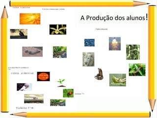 A Produção dos alunos! 
 