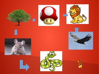 Cadeia alimentar Gabriel, João Victor e Rafael