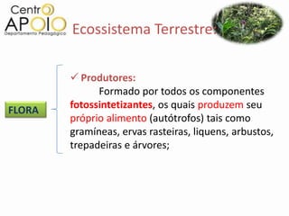 Ecossistema Terrestre:

         Produtores:
              Formado por todos os componentes
FLORA   fotossintetizantes, os quais produzem seu
        próprio alimento (autótrofos) tais como
        gramíneas, ervas rasteiras, liquens, arbustos,
        trepadeiras e árvores;
 