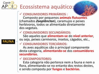 Ecossistema aquático:
         CONSUMIDORES PRIMÁRIOS :
           Composto por pequenos animais flutuantes
        (chamados Zooplâncton), caramujos e peixes
        herbívoros, todos se alimentado diretamente
        dos vegetais.
         CONSUMIDORES SECUNDÁRIOS:
           São aqueles que alimentam-se do nível anterior,
        ou seja, peixes carnívoros, insetos, cágados, etc.,
FAUNA
         CONSUMIDORES TERCIÁRIOS:
           As aves aquáticas são o principal componente
        desta categoria, alimentando-se dos consumidores
        secundários.
         DECOMPOSITORES:
           Esta categoria não pertence nem a fauna e nem a
        flora, alimentando-se no entanto dos restos destes,
        e sendo composta por fungos e bactérias.
 