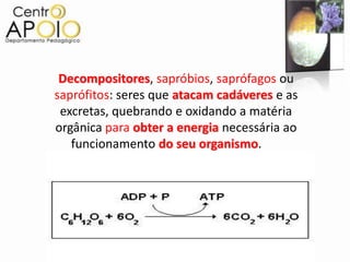Decompositores, sapróbios, saprófagos ou
saprófitos: seres que atacam cadáveres e as
 excretas, quebrando e oxidando a matéria
orgânica para obter a energia necessária ao
   funcionamento do seu organismo.
 