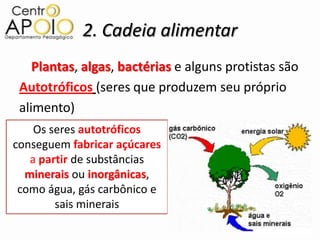 2. Cadeia alimentar
    Plantas, algas, bactérias e alguns protistas são
 Autotróficos (seres que produzem seu próprio
 alimento)
    Os seres autotróficos
conseguem fabricar açúcares
   a partir de substâncias
  minerais ou inorgânicas,
 como água, gás carbônico e
        sais minerais
 