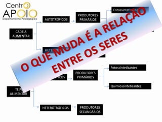 Fotossintetizantes
                                PRODUTORES
              AUTOTRÓFICOS       PRIMÁRIOS

                                                 Quimiossintetizantes
   CADEIA
 ALIMENTAR


              HETEROTRÓFICOS      PRODUTORES
                                  SECUNDÁRIOS


                                                Fotossintetizantes
                               PRODUTORES
             AUTOTRÓFICOS       PRIMÁRIOS

                                                Quimiossintetizantes
   TEIA
ALIMENTAR


             HETEROTRÓFICOS     PRODUTORES
                                SECUNDÁRIOS
 