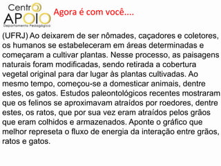 Agora é com você....

(UFRJ) Ao deixarem de ser nômades, caçadores e coletores,
os humanos se estabeleceram em áreas determinadas e
começaram a cultivar plantas. Nesse processo, as paisagens
naturais foram modificadas, sendo retirada a cobertura
vegetal original para dar lugar às plantas cultivadas. Ao
mesmo tempo, começou-se a domesticar animais, dentre
estes, os gatos. Estudos paleontológicos recentes mostraram
que os felinos se aproximavam atraídos por roedores, dentre
estes, os ratos, que por sua vez eram atraídos pelos grãos
que eram colhidos e armazenados. Aponte o gráfico que
melhor represeta o fluxo de energia da interação entre grãos,
ratos e gatos.
 