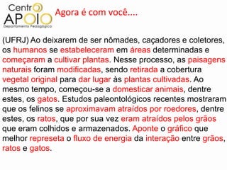 Agora é com você....

(UFRJ) Ao deixarem de ser nômades, caçadores e coletores,
os humanos se estabeleceram em áreas determinadas e
começaram a cultivar plantas. Nesse processo, as paisagens
naturais foram modificadas, sendo retirada a cobertura
vegetal original para dar lugar às plantas cultivadas. Ao
mesmo tempo, começou-se a domesticar animais, dentre
estes, os gatos. Estudos paleontológicos recentes mostraram
que os felinos se aproximavam atraídos por roedores, dentre
estes, os ratos, que por sua vez eram atraídos pelos grãos
que eram colhidos e armazenados. Aponte o gráfico que
melhor represeta o fluxo de energia da interação entre grãos,
ratos e gatos.
 